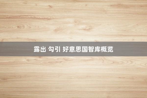 露出 勾引 好意思国智库概览