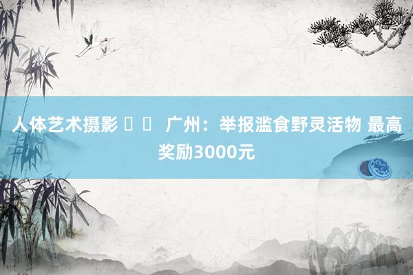 人体艺术摄影 		 广州：举报滥食野灵活物 最高奖励3000元