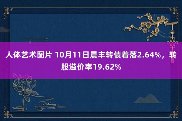 人体艺术图片 10月11日晨丰转债着落2.64%，转股溢价率19.62%