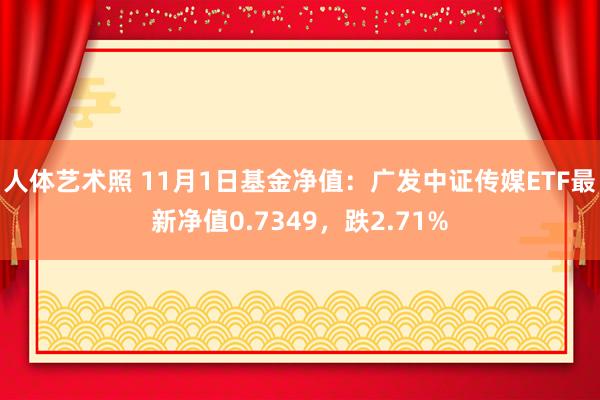 人体艺术照 11月1日基金净值：广发中证传媒ETF最新净值0.7349，跌2.71%