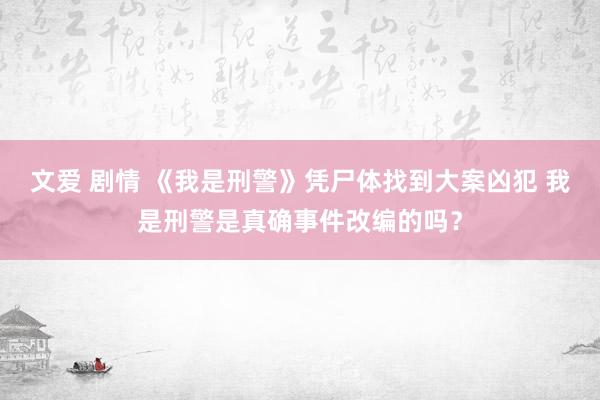文爱 剧情 《我是刑警》凭尸体找到大案凶犯 我是刑警是真确事件改编的吗？