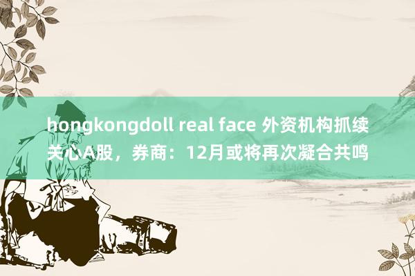 hongkongdoll real face 外资机构抓续关心A股，券商：12月或将再次凝合共鸣