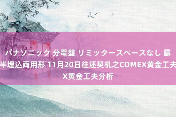 パナソニック 分電盤 リミッタースペースなし 露出・半埋込両用形 11月20日往还契机之COMEX黄金工夫分析