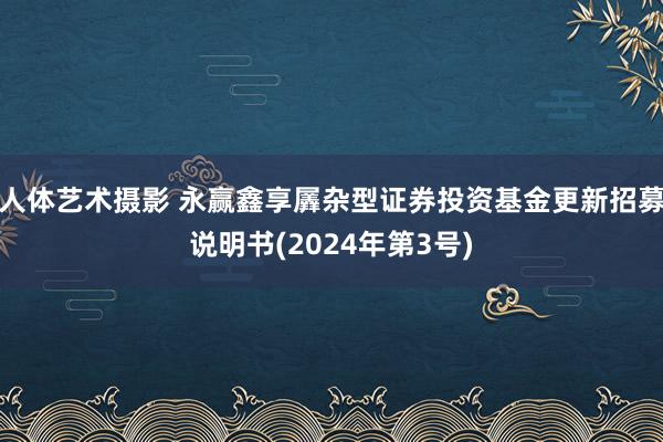 人体艺术摄影 永赢鑫享羼杂型证券投资基金更新招募说明书(2024年第3号)