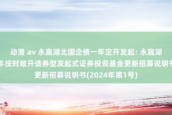 动漫 av 永赢湖北国企债一年定开发起: 永赢湖北国有企业债一年按时敞开债券型发起式证券投资基金更新招募说明书(2024年第1号)