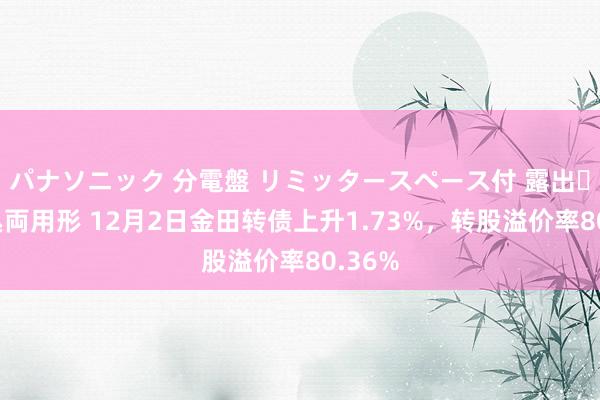 パナソニック 分電盤 リミッタースペース付 露出・半埋込両用形 12月2日金田转债上升1.73%，转股溢价率80.36%