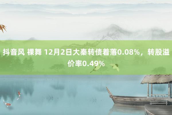 抖音风 裸舞 12月2日大秦转债着落0.08%，转股溢价率0.49%