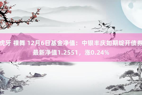 虎牙 裸舞 12月6日基金净值：中银丰庆如期绽开债券最新净值1.2551，涨0.24%
