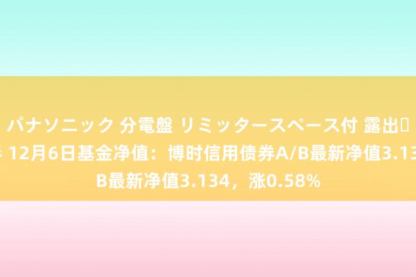 パナソニック 分電盤 リミッタースペース付 露出・半埋込両用形 12月6日基金净值：博时信用债券A/B最新净值3.134，涨0.58%