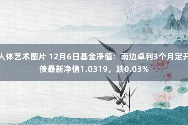 人体艺术图片 12月6日基金净值：南边卓利3个月定开债最新净值1.0319，跌0.03%