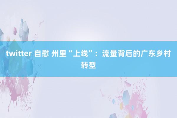 twitter 自慰 州里“上线”：流量背后的广东乡村转型