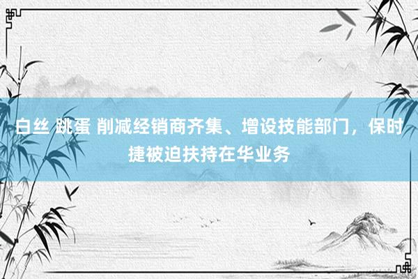 白丝 跳蛋 削减经销商齐集、增设技能部门，保时捷被迫扶持在华业务