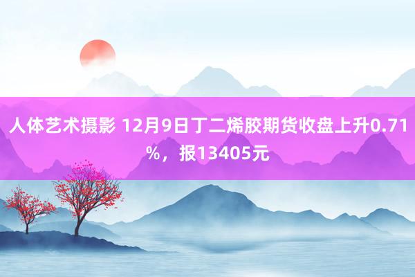 人体艺术摄影 12月9日丁二烯胶期货收盘上升0.71%，报13405元