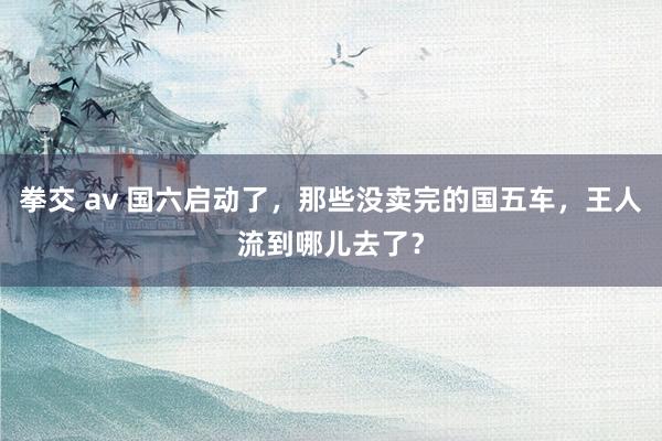 拳交 av 国六启动了，那些没卖完的国五车，王人流到哪儿去了？