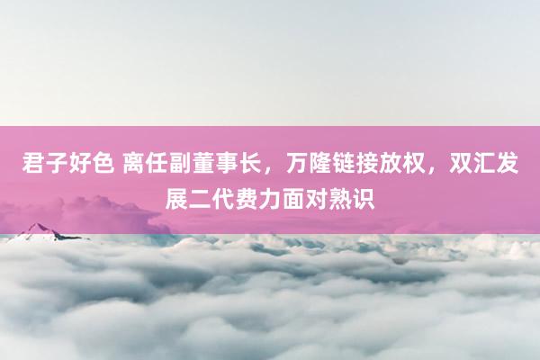 君子好色 离任副董事长，万隆链接放权，双汇发展二代费力面对熟识