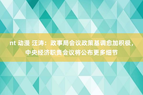nt 动漫 汪涛：政事局会议政策基调愈加积极，中央经济职责会议将公布更多细节
