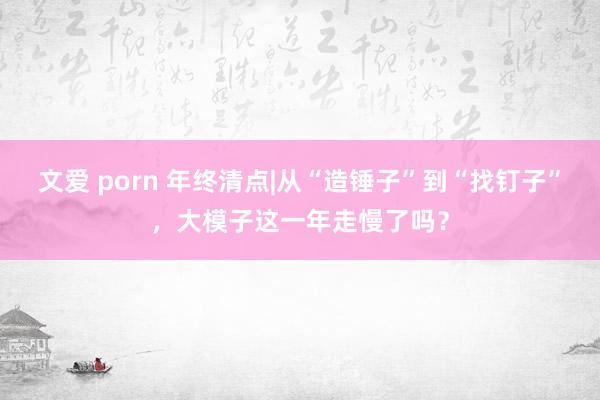 文爱 porn 年终清点|从“造锤子”到“找钉子”，大模子这一年走慢了吗？