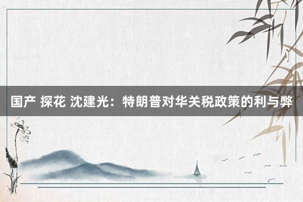 国产 探花 沈建光：特朗普对华关税政策的利与弊