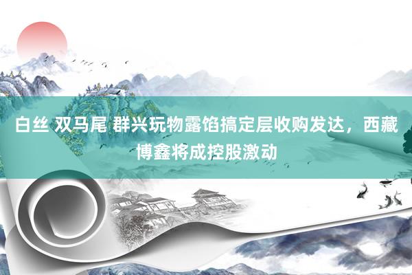 白丝 双马尾 群兴玩物露馅搞定层收购发达，西藏博鑫将成控股激动