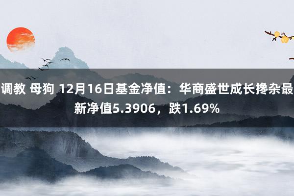 调教 母狗 12月16日基金净值：华商盛世成长搀杂最新净值5.3906，跌1.69%