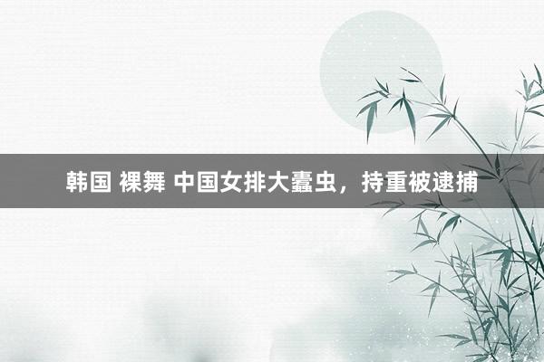 韩国 裸舞 中国女排大蠹虫，持重被逮捕