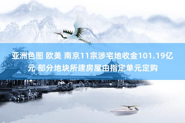 亚洲色图 欧美 南京11宗涉宅地收金101.19亿元 部分地块所建房屋由指定单元定购