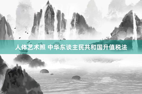 人体艺术照 中华东谈主民共和国升值税法