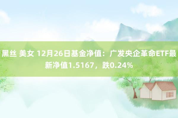 黑丝 美女 12月26日基金净值：广发央企革命ETF最新净值1.5167，跌0.24%