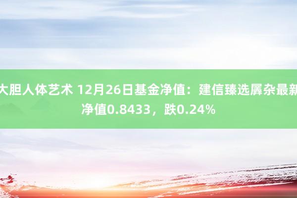 大胆人体艺术 12月26日基金净值：建信臻选羼杂最新净值0.8433，跌0.24%