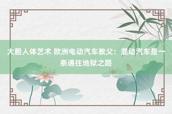 大胆人体艺术 欧洲电动汽车教父：混动汽车是一条通往地狱之路