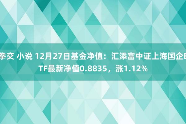 拳交 小说 12月27日基金净值：汇添富中证上海国企ETF最新净值0.8835，涨1.12%