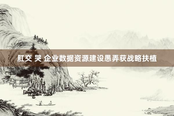 肛交 哭 企业数据资源建设愚弄获战略扶植