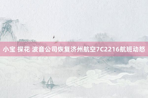 小宝 探花 波音公司恢复济州航空7C2216航班动怒