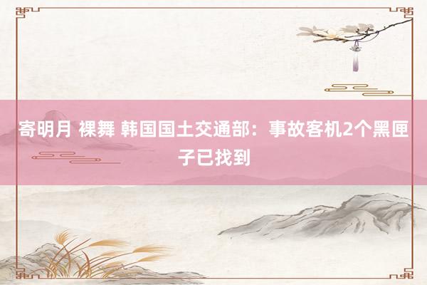 寄明月 裸舞 韩国国土交通部：事故客机2个黑匣子已找到