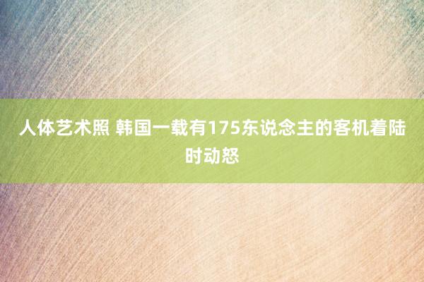 人体艺术照 韩国一载有175东说念主的客机着陆时动怒