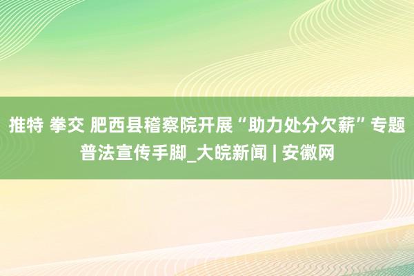 推特 拳交 肥西县稽察院开展“助力处分欠薪”专题普法宣传手脚_大皖新闻 | 安徽网