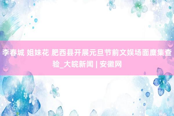 李春城 姐妹花 肥西县开展元旦节前文娱场面麇集查验_大皖新闻 | 安徽网