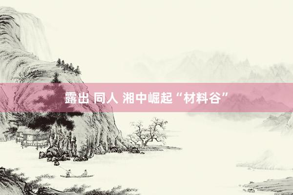 露出 同人 湘中崛起“材料谷”
