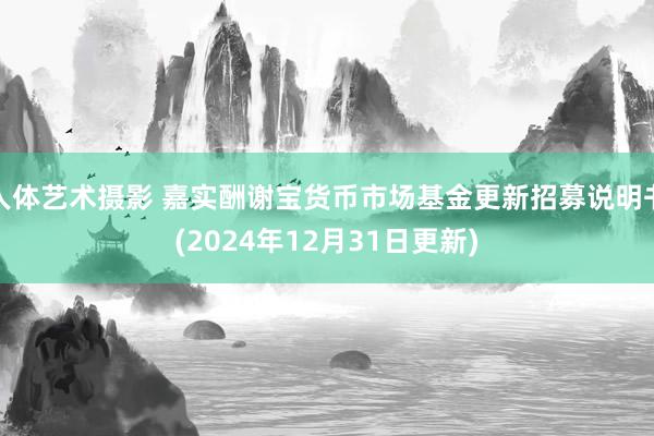人体艺术摄影 嘉实酬谢宝货币市场基金更新招募说明书(2024年12月31日更新)