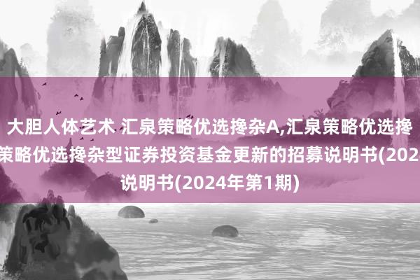 大胆人体艺术 汇泉策略优选搀杂A，汇泉策略优选搀杂C: 汇泉策略优选搀杂型证券投资基金更新的招募说明书(2024年第1期)