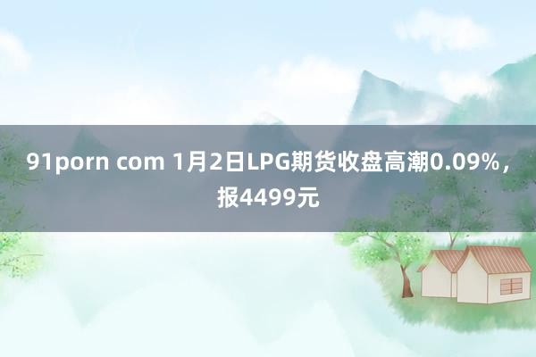91porn com 1月2日LPG期货收盘高潮0.09%，报4499元