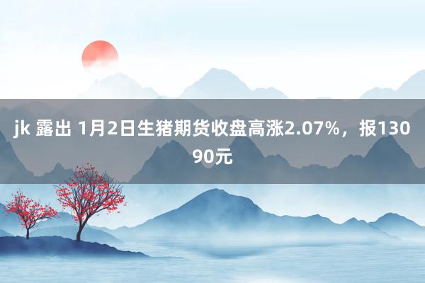 jk 露出 1月2日生猪期货收盘高涨2.07%，报13090元