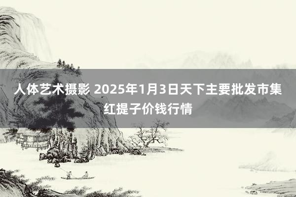 人体艺术摄影 2025年1月3日天下主要批发市集红提子价钱行情