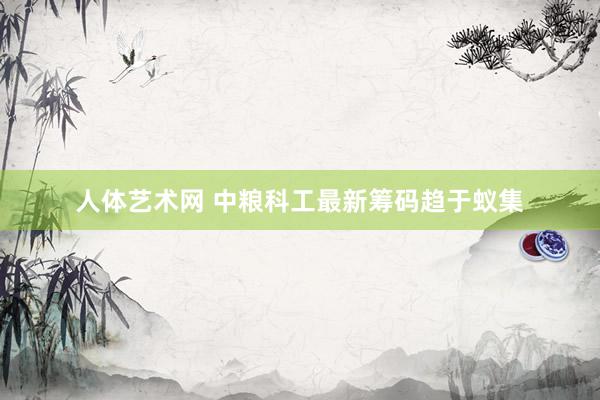 人体艺术网 中粮科工最新筹码趋于蚁集