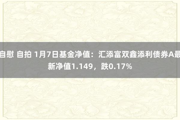 自慰 自拍 1月7日基金净值：汇添富双鑫添利债券A最新净值1.149，跌0.17%
