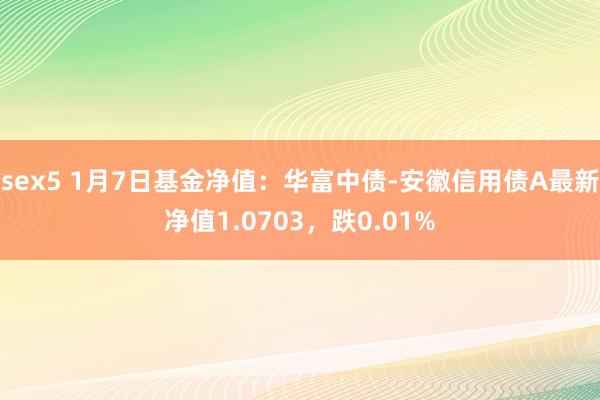 sex5 1月7日基金净值：华富中债-安徽信用债A最新净值1.0703，跌0.01%