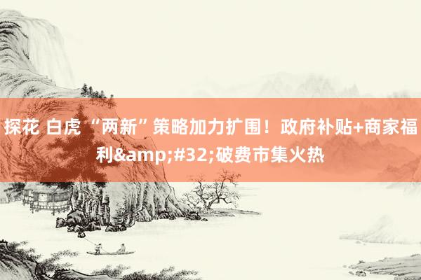 探花 白虎 “两新”策略加力扩围！政府补贴+商家福利&#32;破费市集火热