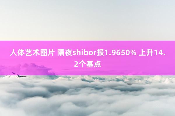 人体艺术图片 隔夜shibor报1.9650% 上升14.2个基点