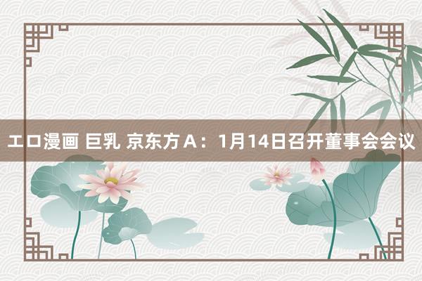 エロ漫画 巨乳 京东方Ａ：1月14日召开董事会会议