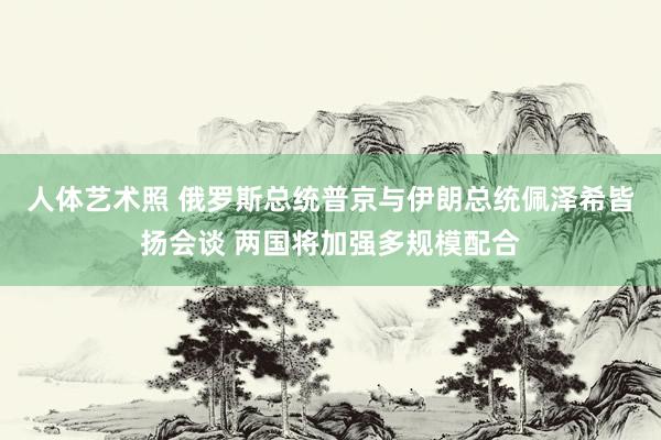 人体艺术照 俄罗斯总统普京与伊朗总统佩泽希皆扬会谈 两国将加强多规模配合